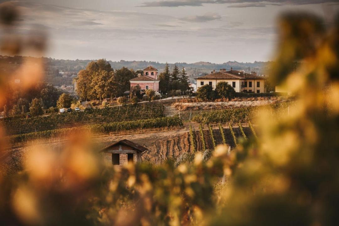 Photo of Others in Nizza Monferrato