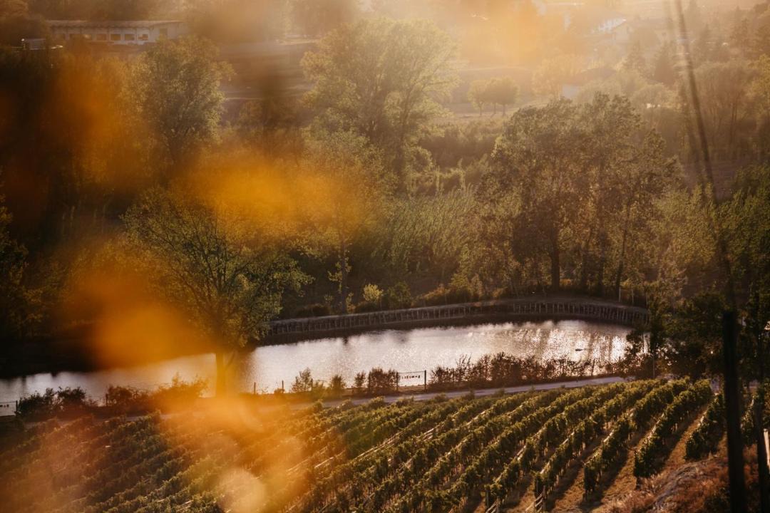 Photo of Others in Nizza Monferrato