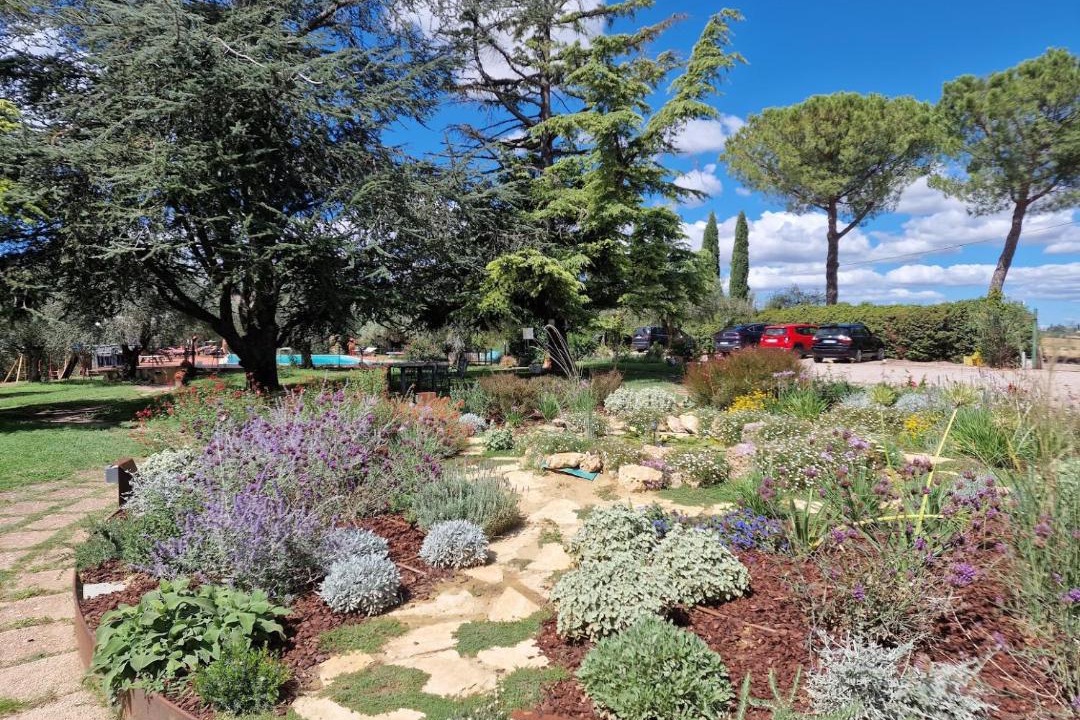 Photo of Outdoor in Castiglione del Lago