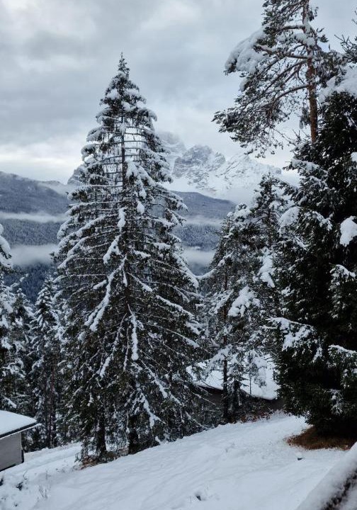 Photo of Others in Borca di Cadore