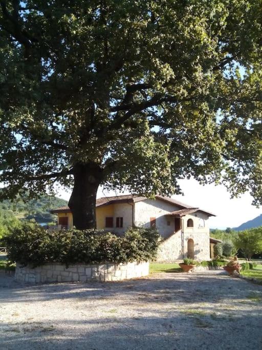 Photo of Others in Civitella del Tronto