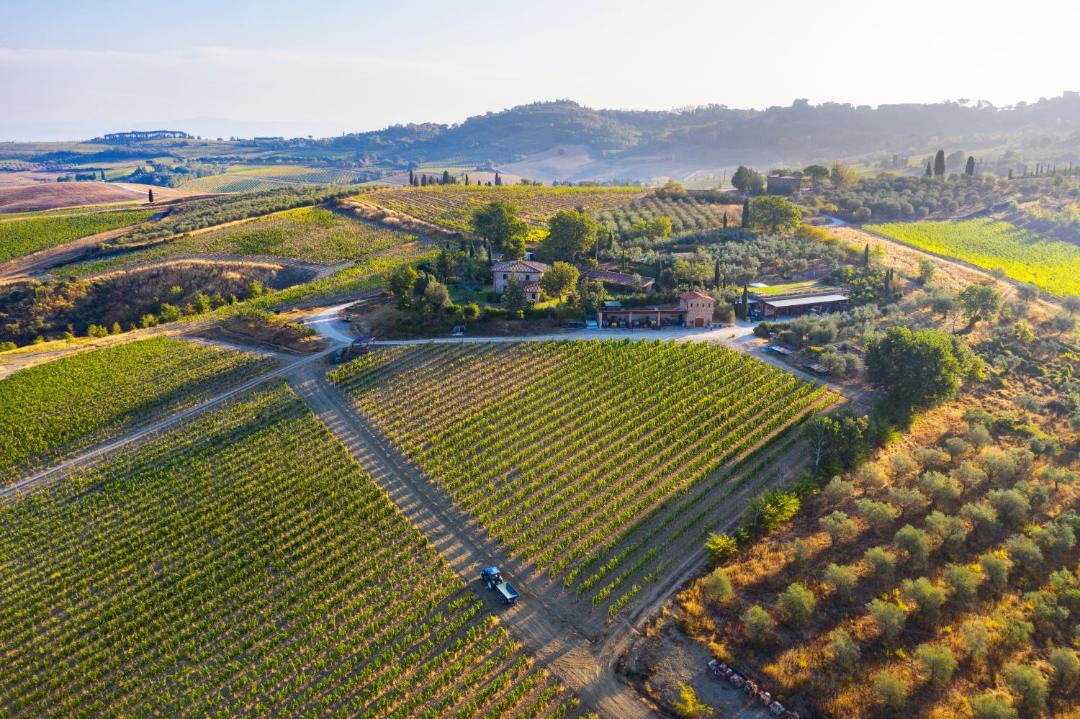 Photo of Others in Montepulciano