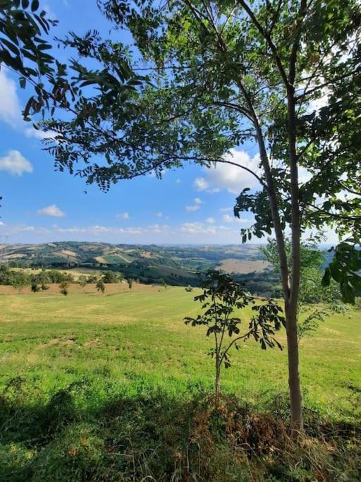 Photo of Outdoor in Gualdo