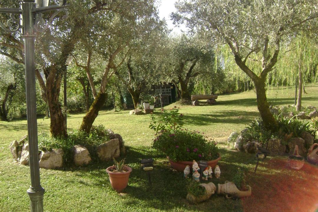 Photo of Others in Gallinaro