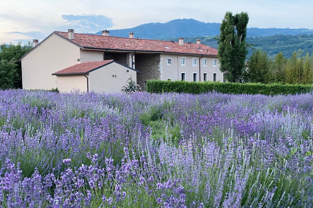 Photo of Buildings in Montecchia di Crosara