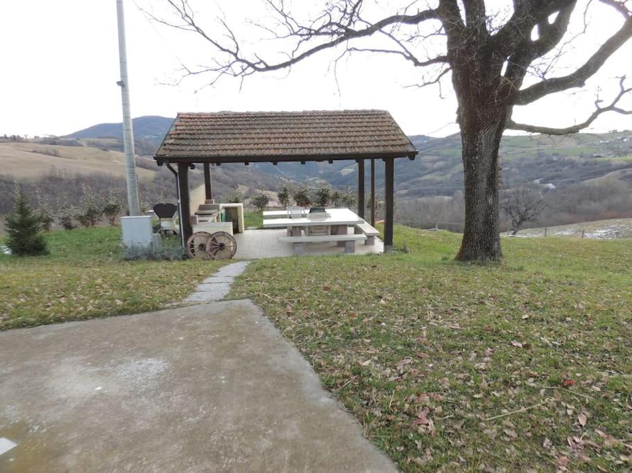 Photo of Buildings in Pellegrino Parmense