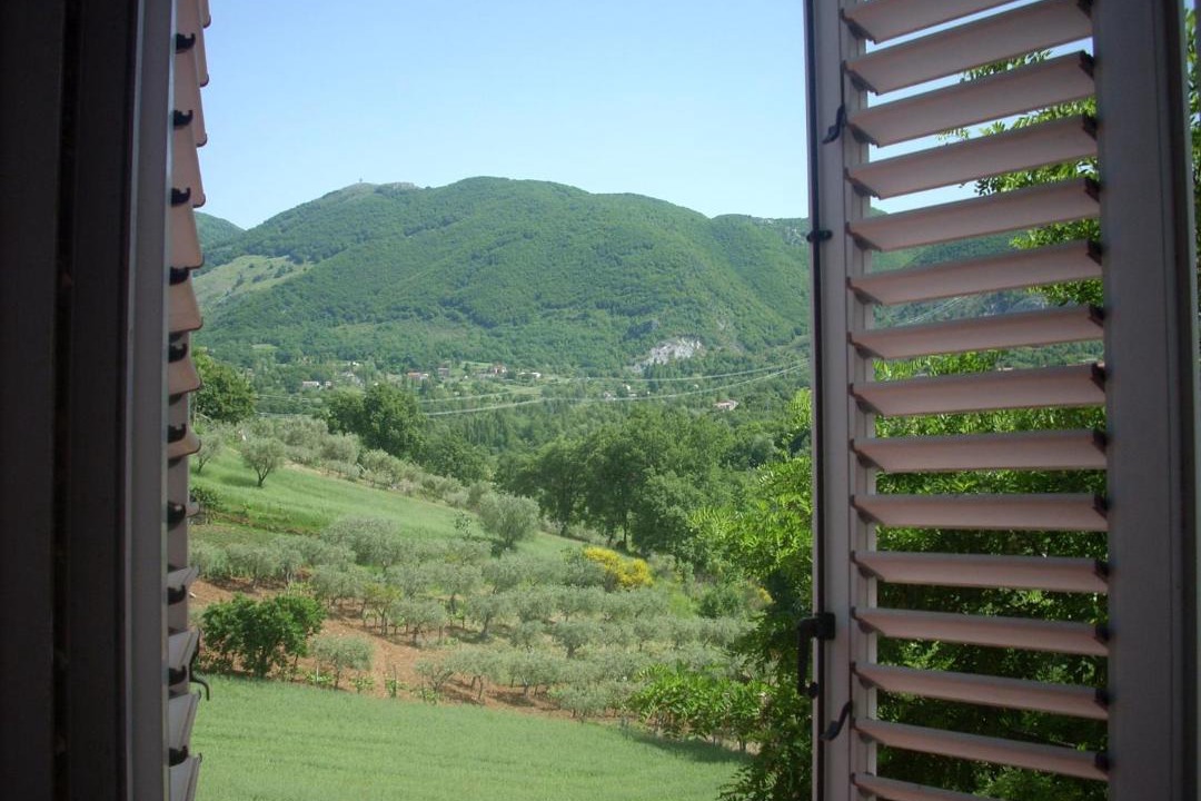 Photo of Others in Rotonda