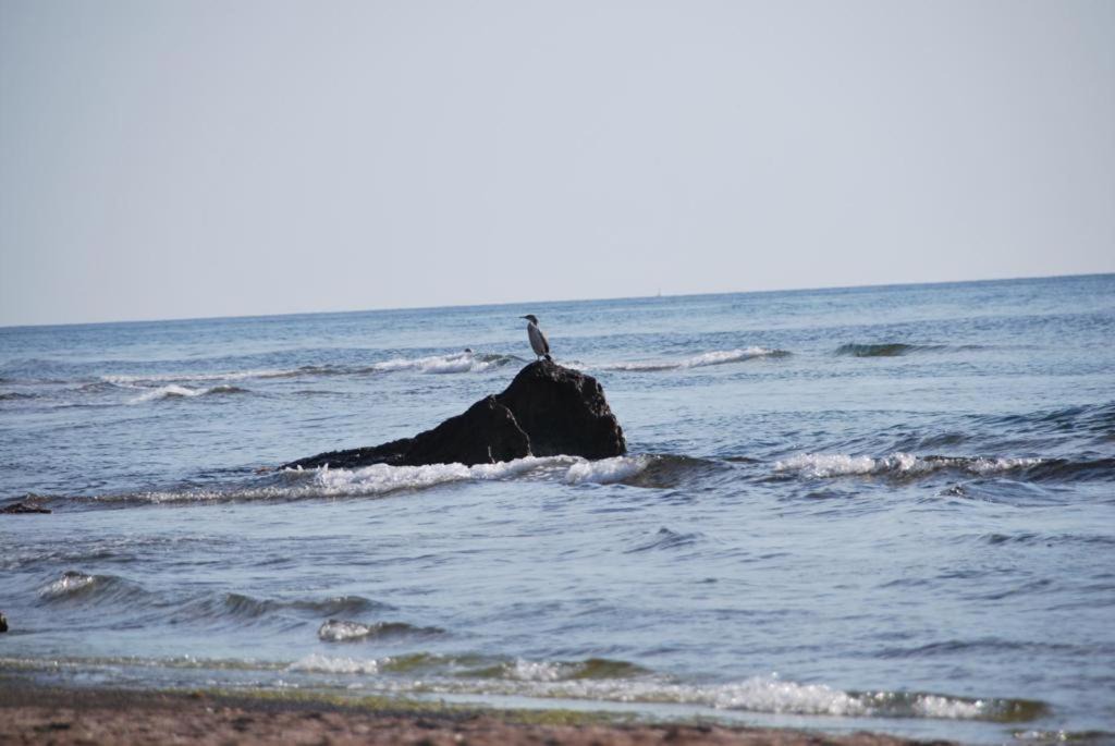 Photo of Others in Porto Alabe