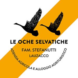 Photo of Others in Pavia di Udine