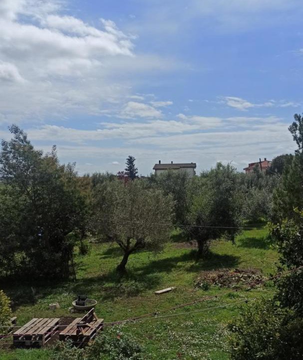 Photo of Others in Albano Laziale