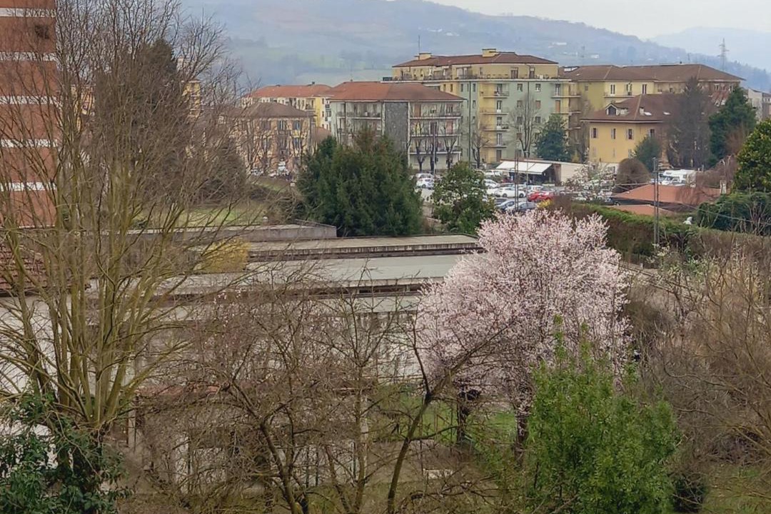 Photo of Others in Acqui Terme
