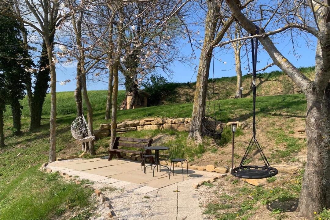 Photo of Others in Pergola