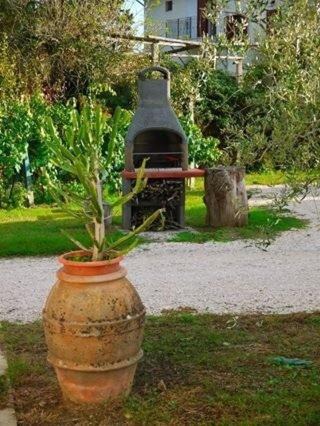 Photo of Others in Castiglione del Lago