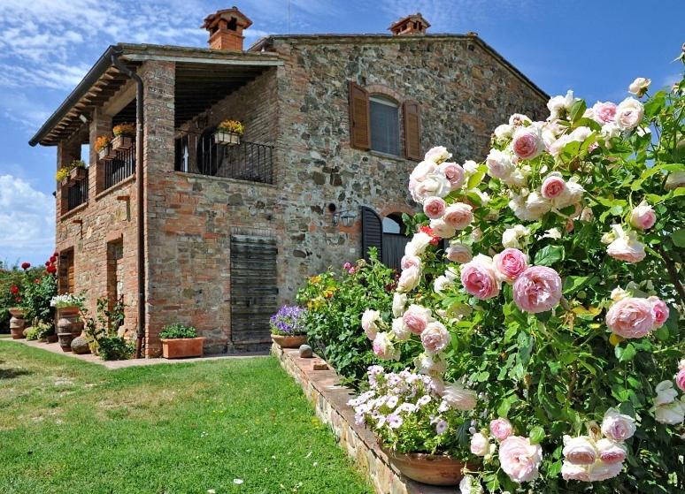 Photo of Others in Montepulciano