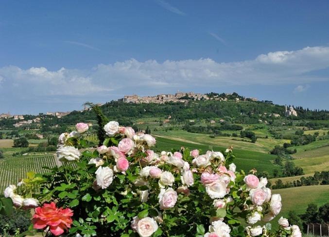 Photo of Others in Montepulciano