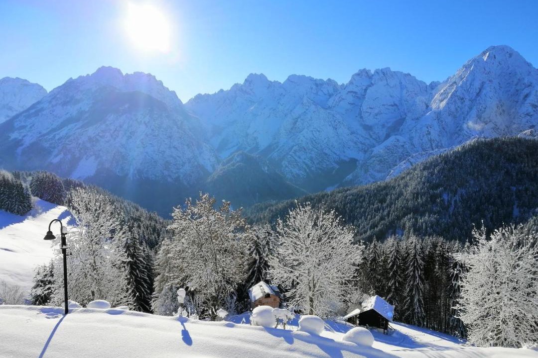 Photo of Others in Danta di Cadore