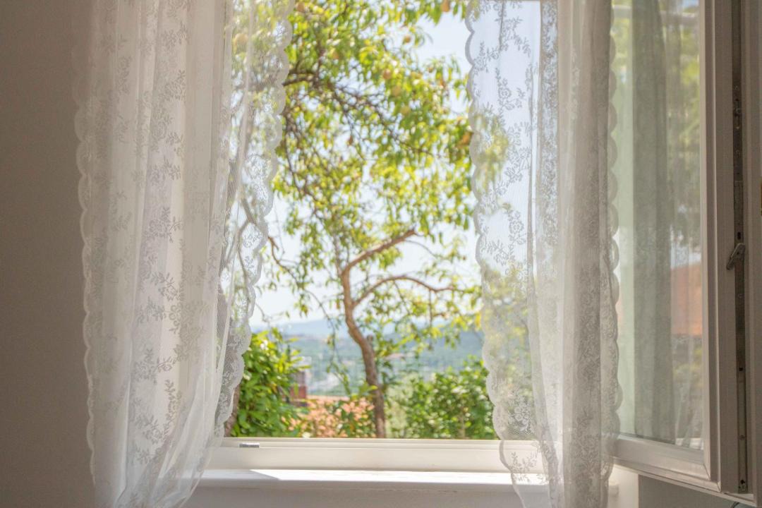 Photo of Others in Muggia