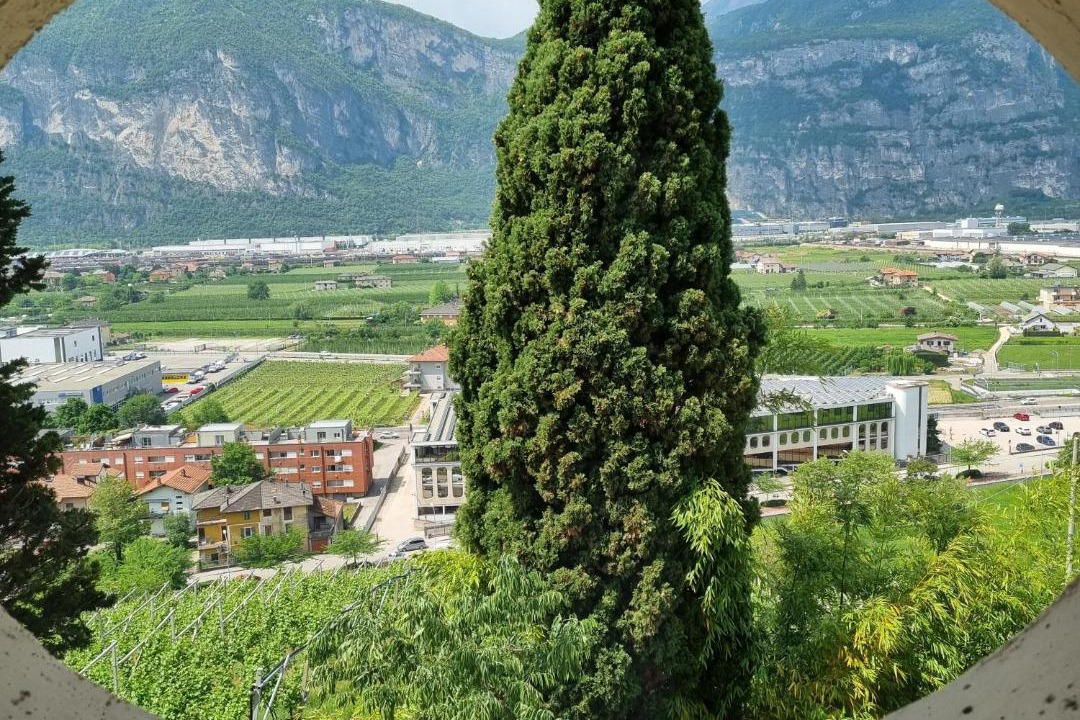 Photo of Others in Martignano