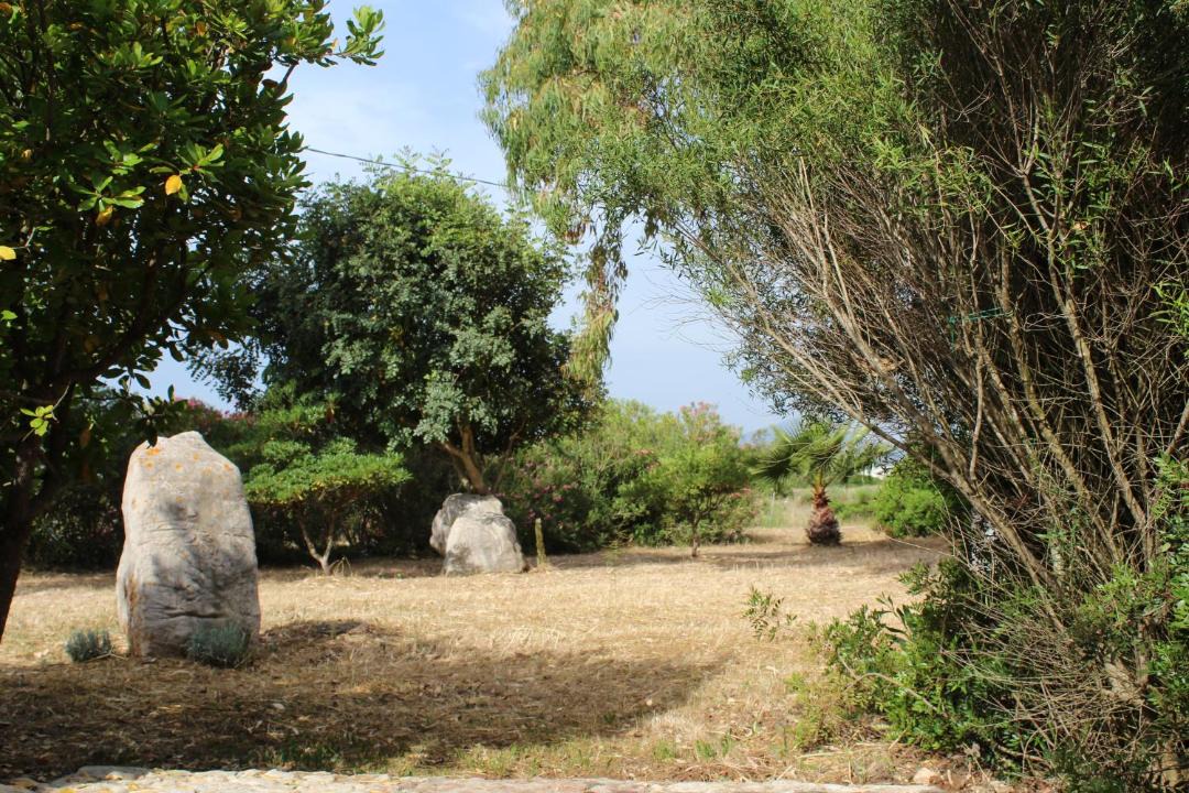 Photo of Others in Olmedo