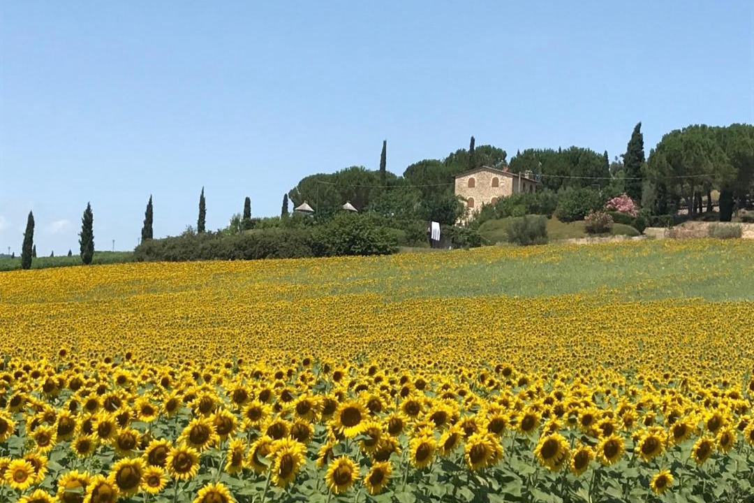 Photo of Others in Solomeo