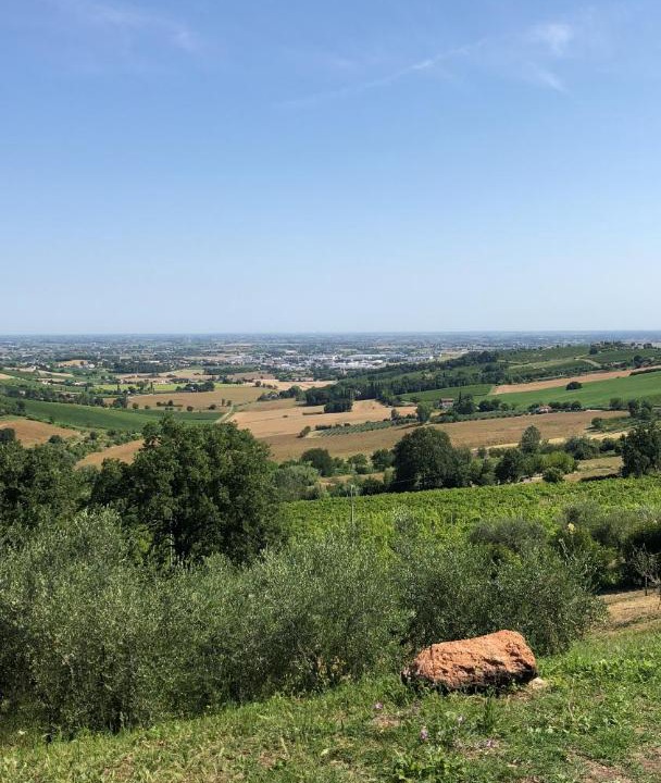 Photo of Others in Bertinoro