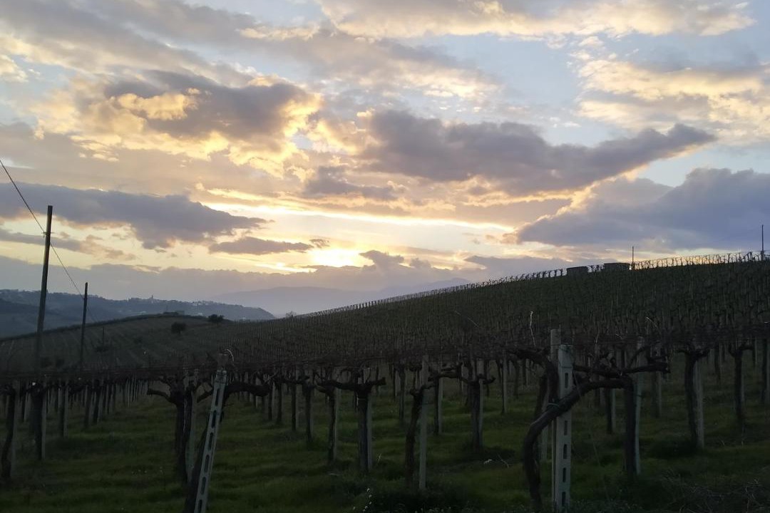 Photo of Outdoor in Bellante