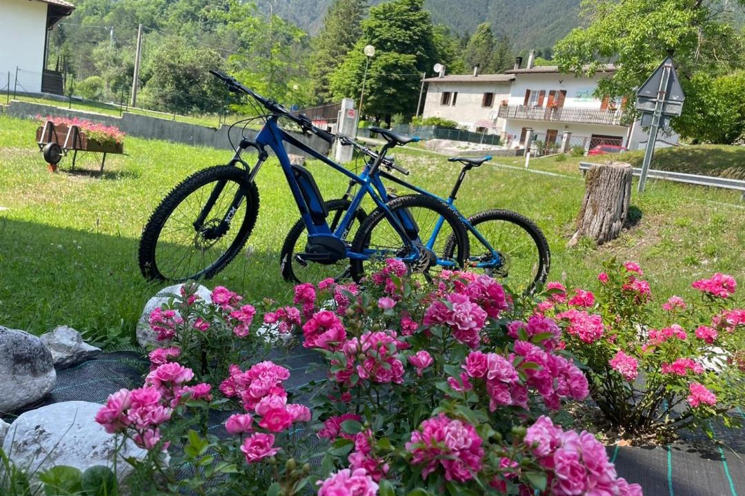 Photo of Outdoor in Resia