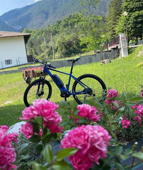 Photo of Outdoor in Resia