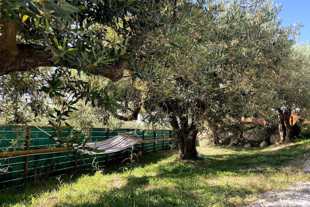 Photo of Others in Marsala
