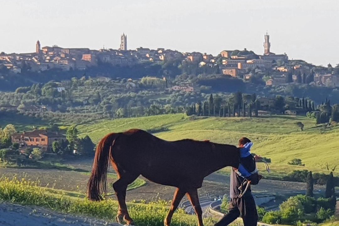 Photo of Others in Siena