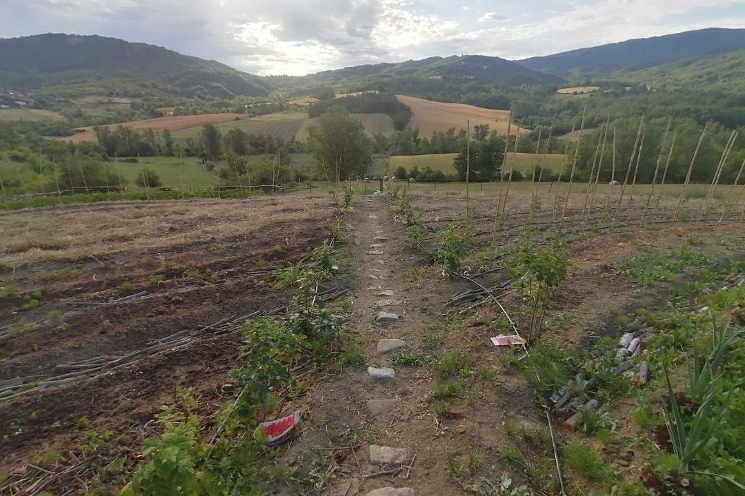 Photo of Outdoor in Dernice