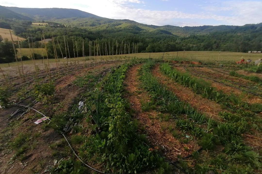 Photo of Outdoor in Dernice