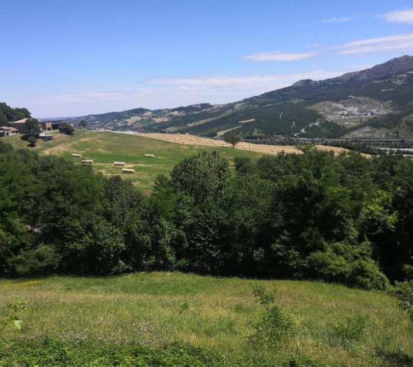Photo of Outdoor in Solignano