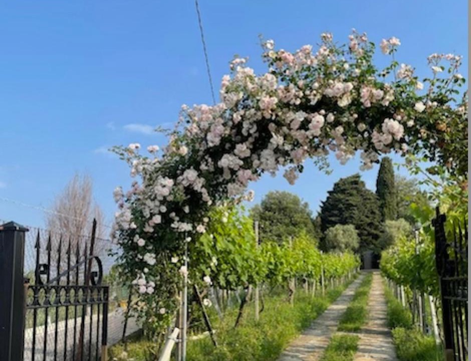 Photo of Others in Montevecchia
