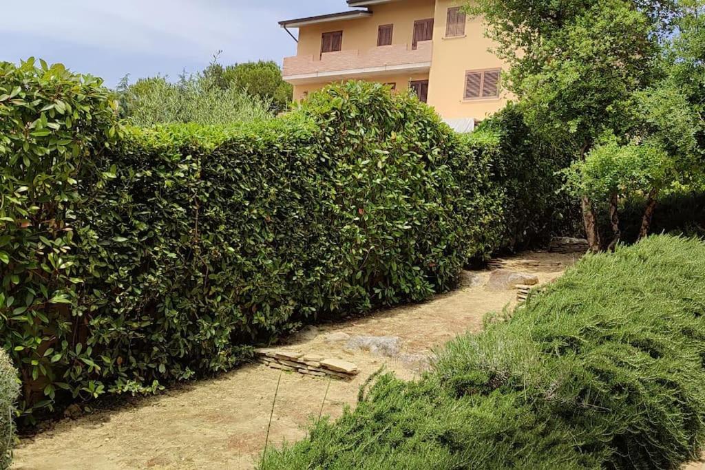 Photo of Outdoor in Bucchianico