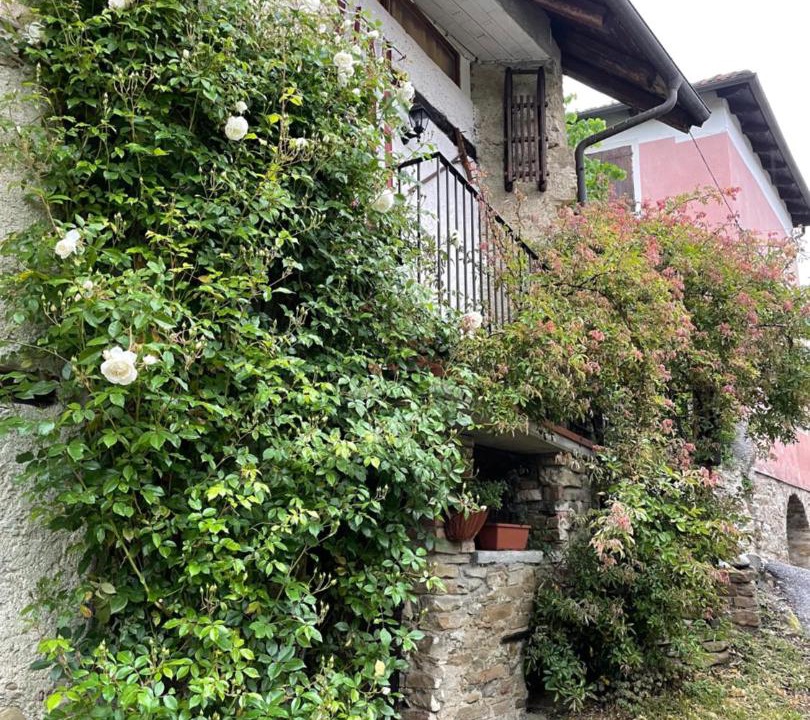 Photo of Buildings in Orbregno