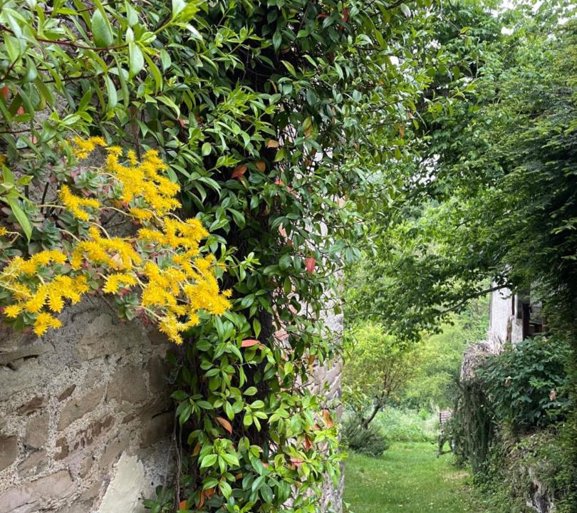 Photo of Outdoor in Orbregno