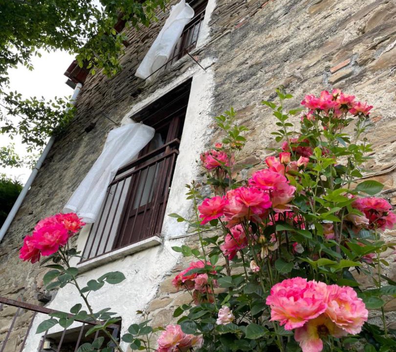 Photo of Buildings in Orbregno