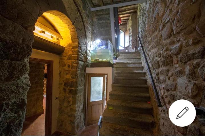 Photo of Others in Montecatini Val di Cecina