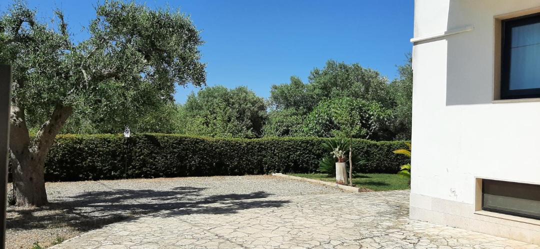 Photo of Others in Alcanterini