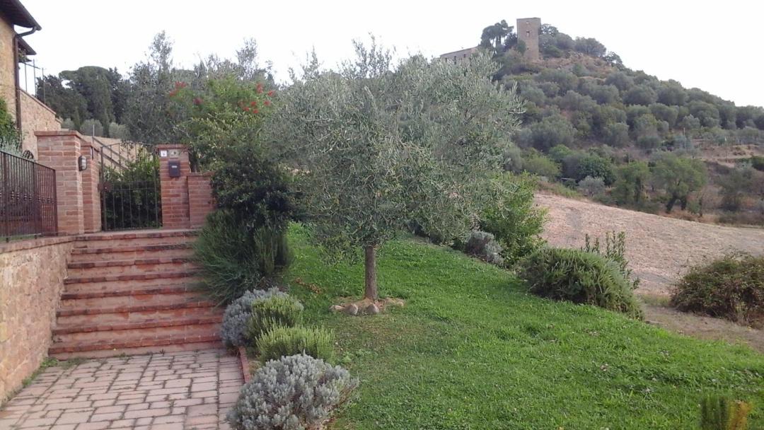 Photo of Others in Monticchiello