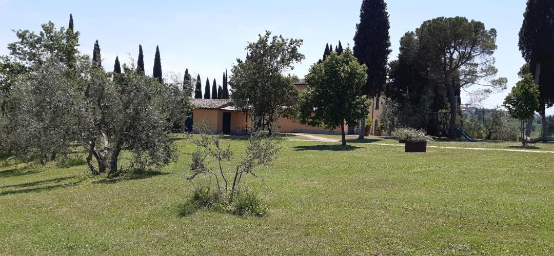 Photo of Others in Marciano della Chiana