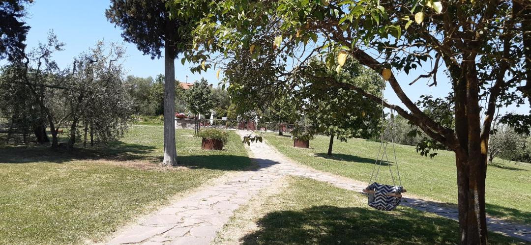 Photo of Others in Marciano della Chiana