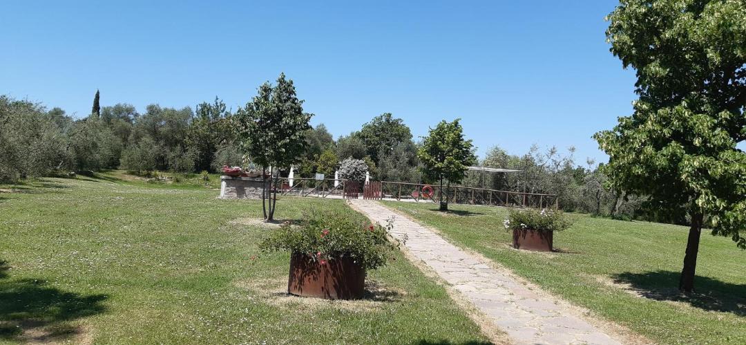 Photo of Others in Marciano della Chiana