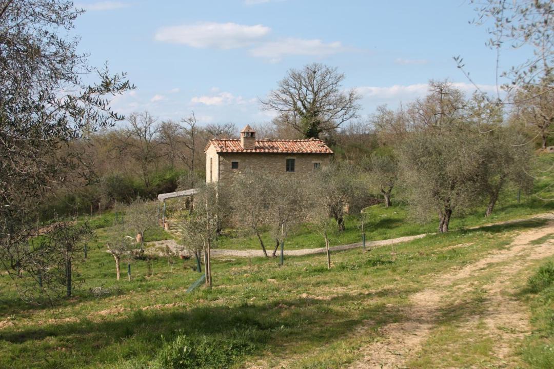 Photo of Others in Pienza