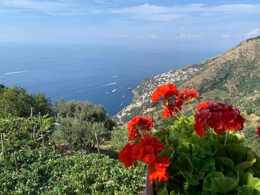 Photo of Outdoor in Furore