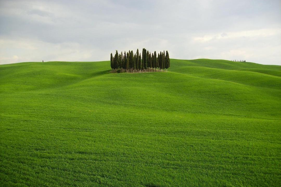 Photo of Others in Vivo dʼOrcia