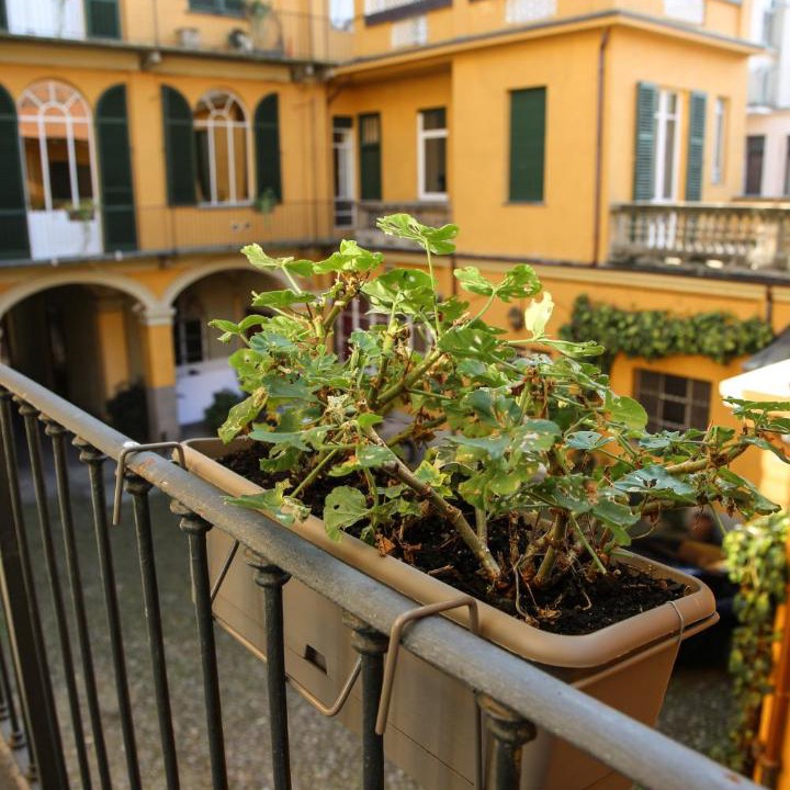 Photo of Buildings in Rione Centro