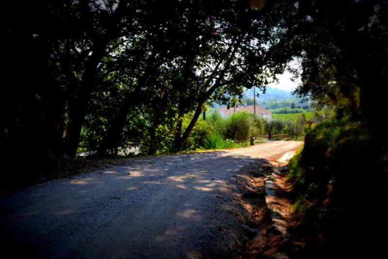 Photo of Others in Monteprandone