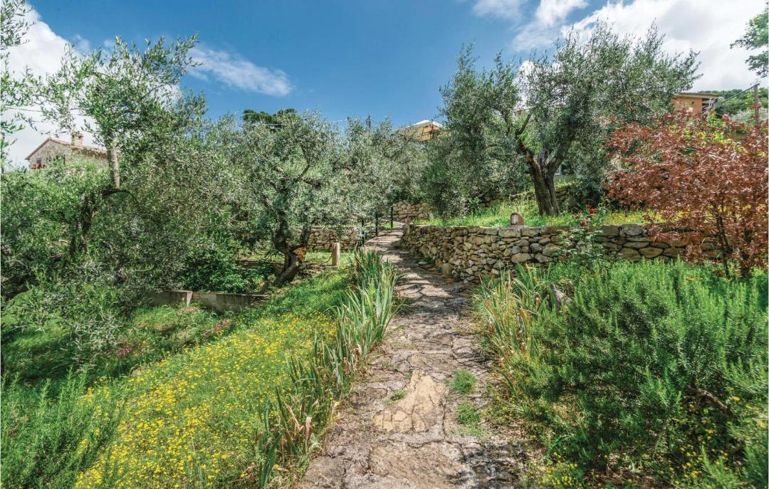 Photo of Outdoor in Magione